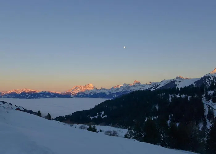 Апартаменты Dahlia By Interhome *