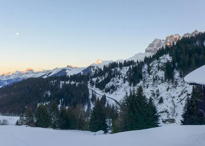 Dahlia By Interhome * Шампуссин